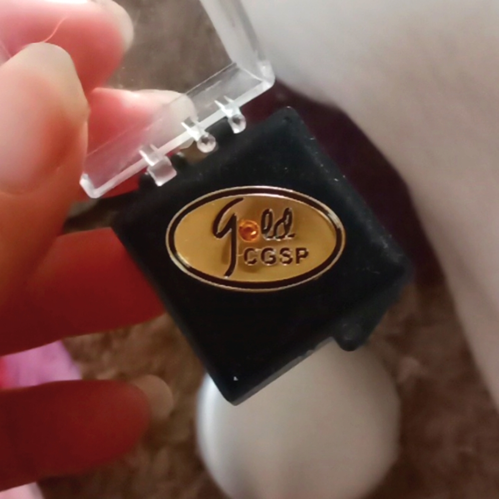 Gold CGSP pin
